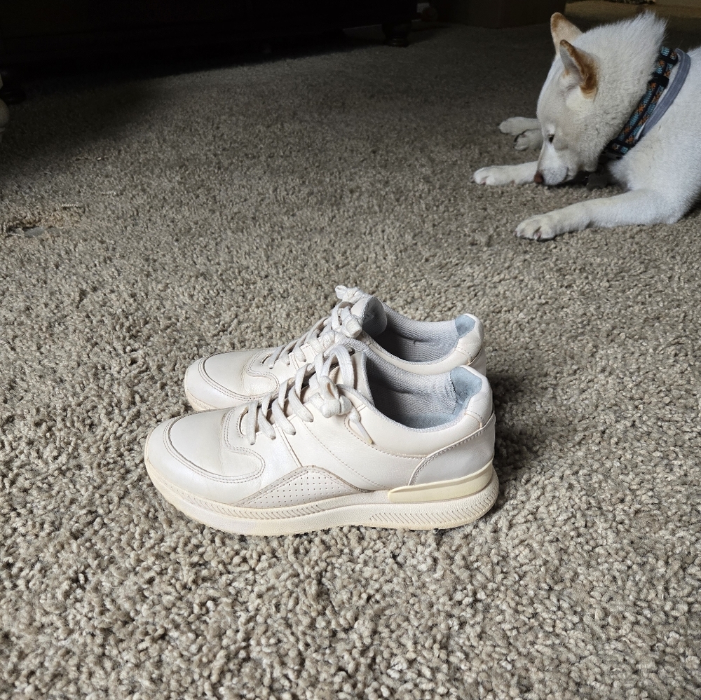 Everlane women's leather sneakers - Picture 2 of 8